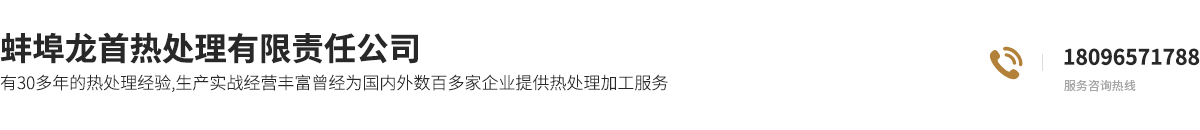 蚌埠龍首熱處理有限責任公司